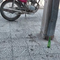 موتور مزایده|موتورسیکلت|بوشهر, |دیوار