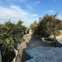 زمین با کلبه سوئیسی ویوی ناب جنگل|فروش خانه و ویلا|ایزدشهر, |دیوار