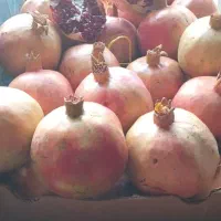 استخدام نیروی کار میوه فروشی|استخدام خدمات فروشگاه و رستوران|حمیدیا, |دیوار