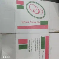 کارتن تخم مرغی