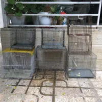 تعداد قفس سهره و قناری