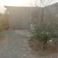 هزارمترزمین-باغ-پسته-محصول-دار