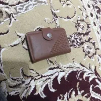 کیف مدارک گم شده ملاثانی بنام سالمی