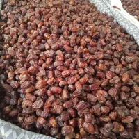 خرمای کبکاب شسته|خوردنی و آشامیدنی|شیراز, حومه شیراز|دیوار