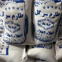 برنج طارم سرگل پایینترین قیمت بازار