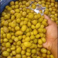 پخش عمده زیتون عمده وجزیی