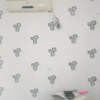 رنگ آمیزی و نقاشی ساختمان کلی و جزئی|خدمات پیشه و مهارت|بند زرک, |دیوار