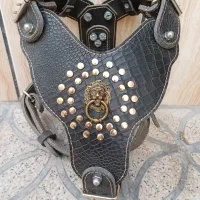 قلاده کتفی و گردنی و لیش چرم کروکودیل