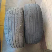 لاستیک 14.60.205