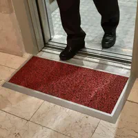 پادری استریل کننده کفش