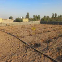 باغچه ۵۱۰ متری