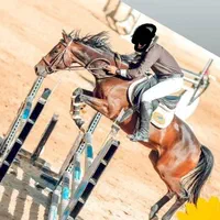 اسب پرشی|اسب و تجهیزات اسب‌سواری|مشهد, شهرک صنعتی توس|دیوار