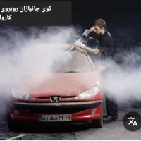 استخدام نیرو کارواش