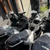 گالکسی طرح ADV هاسکی