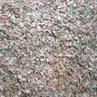 پوست بادام گونی شده