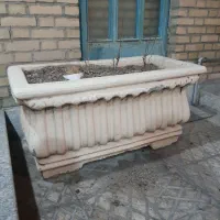 گلدان بزرگ|گل و گیاه طبیعی|اصفهان, جلفا|دیوار