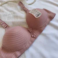 لباس زیر|لباس|مرودشت, ابوذر شمالی|دیوار