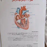 کتاب جزوه زیست شناسی رنگی ۱۴۰۴ حنیف عظیمی تاملند|کتاب و مجله آموزشی|تهران, فلسطین (میدان انقلاب)|دیوار