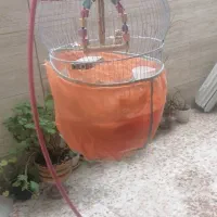 قفس به همراه پایه و لوازم داخل