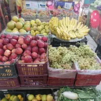 کارگر ساده میوه فروشی.شهرک ابریشم|استخدام خدمات فروشگاه و رستوران|چهارباغ, |دیوار