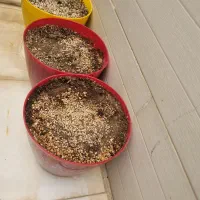 میز تلفن چرمی با ۲صندلی و ۶گلدان|میز تلفن|کرمان, |دیوار