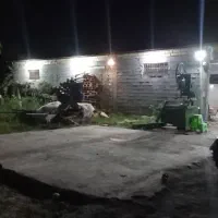 خدمات تبدیل چوب سربندی و تخته پالتی و غیره|خدمات پیشه و مهارت|رشت, لاکان|دیوار