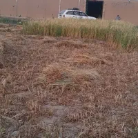 چاه کن هستم همه مدل چاه میکنم