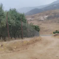 فروش یه قطعه باغ|فروش زمین و ملک کلنگی|صمصامی, |دیوار