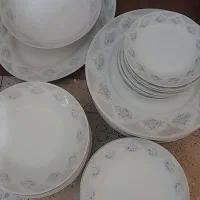 ظروف چینی