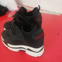 کتانی سا یز ۳۸|کیف، کفش، کمربند|آستارا, |دیوار