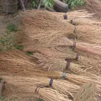 جارو محلی و شهرداری