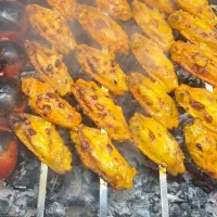 اسختدام کباب زن