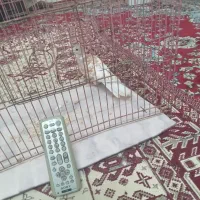 کنترل یا کریم|تلویزیون و پروژکتور|اندیمشک, |دیوار