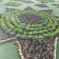 انجام کلیه امور باغبانی