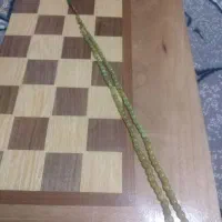 تسبیح شاه مقصود|کلکسیون و سرگرمی|شیراز, سلطان آباد|دیوار