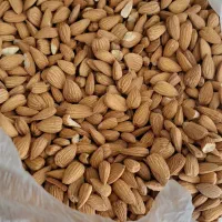 بادام کوهی نیمه تلخ