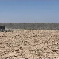 زمین-باغی