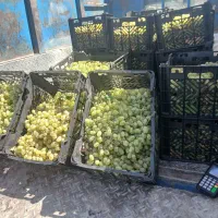 عمده