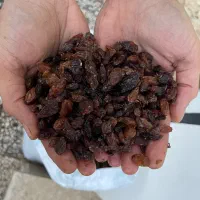 کشمش سرکه ایی