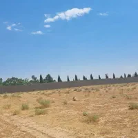 فروش زمین باغشهری جاده صدرا خیابان پارسیان|فروش زمین و ملک کلنگی|شیراز, باغشهر قصر سبز|دیوار