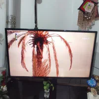 تلویزیون ال ای دی الجی|تلویزیون و پروژکتور|مبارکه, |دیوار