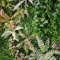 جنگلی گرین وال سرخس دیوار سبز شمال استوایی برفی|گل مصنوعی|فردیس, فردیس|دیوار