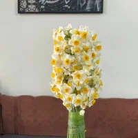 واحد ۵۸ متری/ فتحی