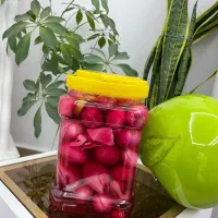 ترشیجات ارگانیک کوهیار