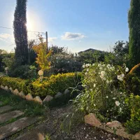 ویلاباغ 700متری/VilaBest|فروش خانه و ویلا|رشت, دیلمان|دیوار