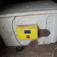 فروش دستگاه جوجه کشی