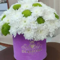 باکس گل طبیعی