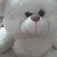 یک عدد خرس سفید بزرگ