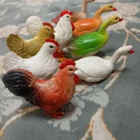 حیوانات