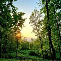 راهنمایی اسنپ